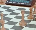 Шахматный турнир
