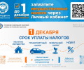 Заплатите имущественные налоги до 1 декабря
